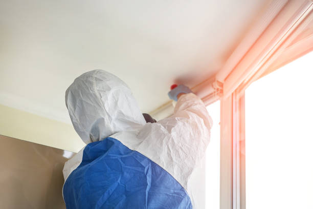 Best Mold Removal for HVAC Installations  in Mountain City, GA