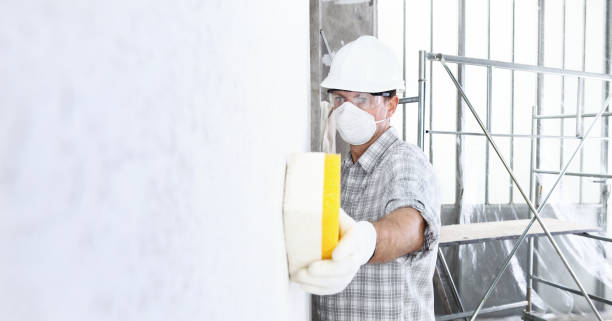 Best Mold Odor Removal Services  in Mountain City, GA