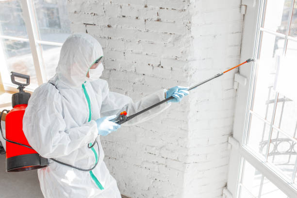 Mold Remediation for Rental Properties in Mountain City, GA