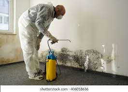 Best Mold Prevention Services  in Mountain City, GA